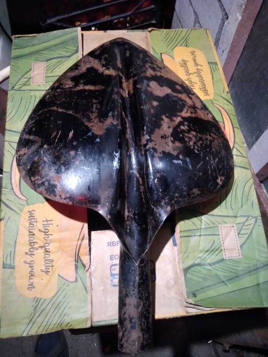 Лопата велика чирва