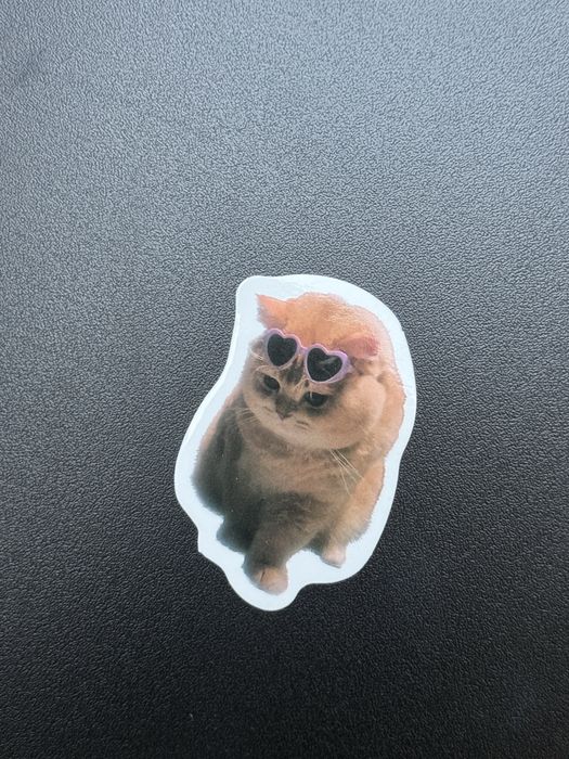 Naklejka sticker kot cat cute słodkie
