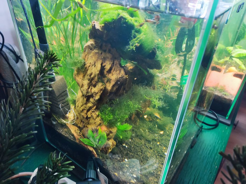 Akwarium Aquael 30l stabilne