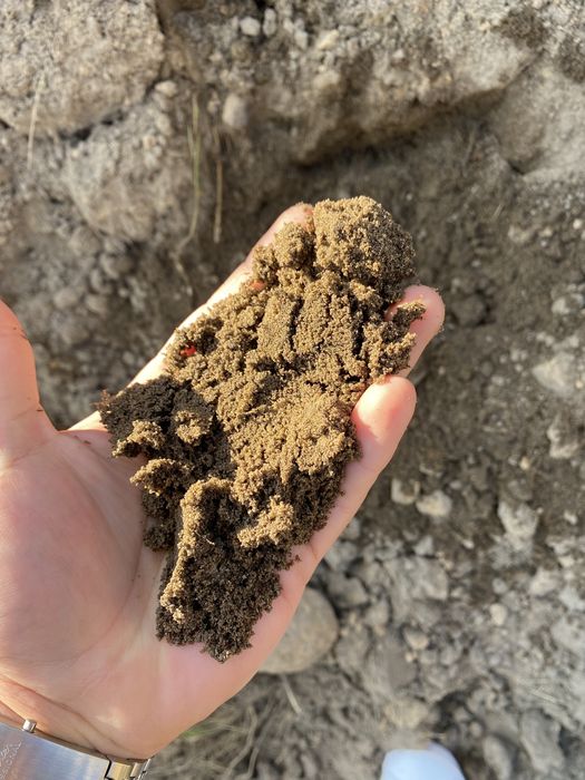 Ziemia piach pospółka