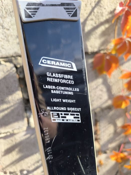 Лижі з кріпленням