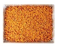 Обліпиха свіжа ягода.Облепиха.