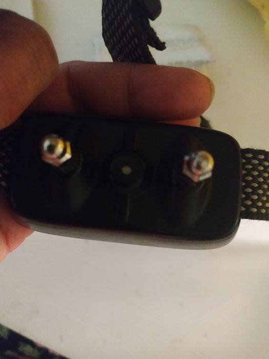 Тренувальний ошейник для собак