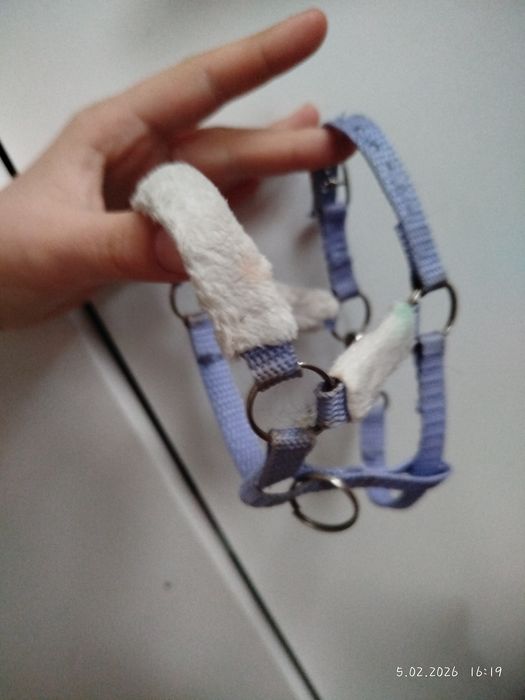 Sprzedam ogłowie na konia A4