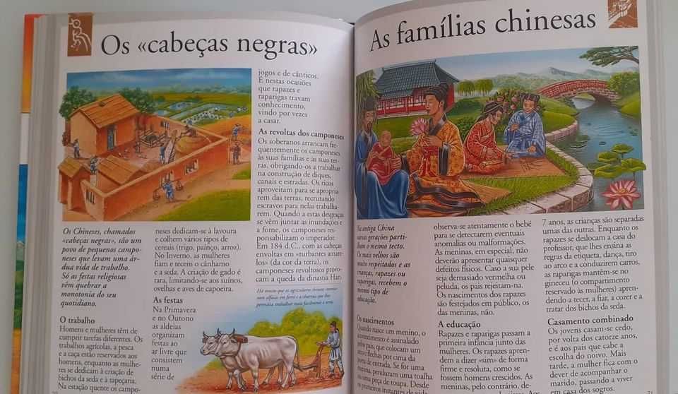 Livro juvenil - " Civilizações"