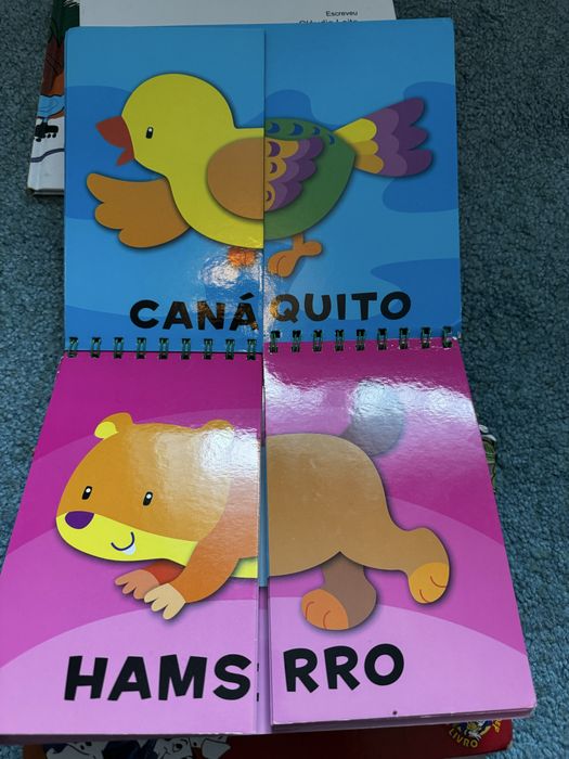 Livro  de associaçao  de animais