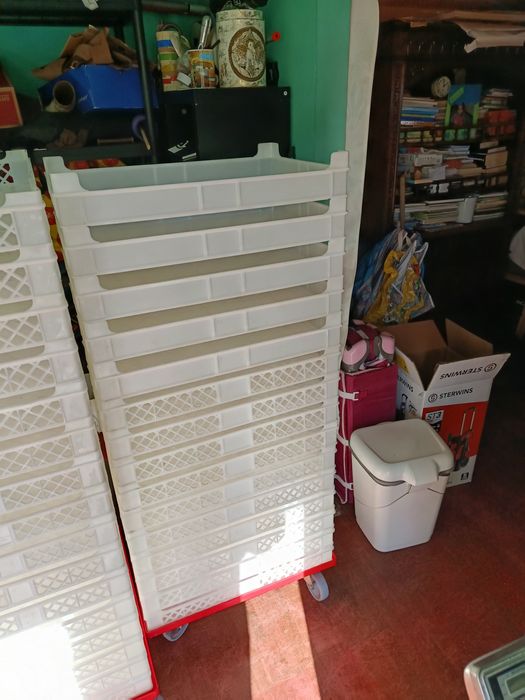 Plastic Trays454611962210570242