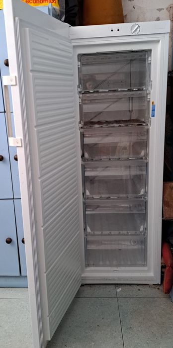 Arca congeladora vertical