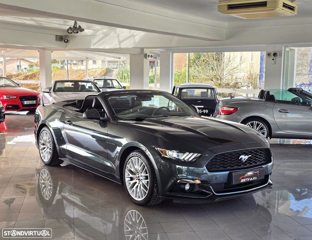 business-site-gallery-photo