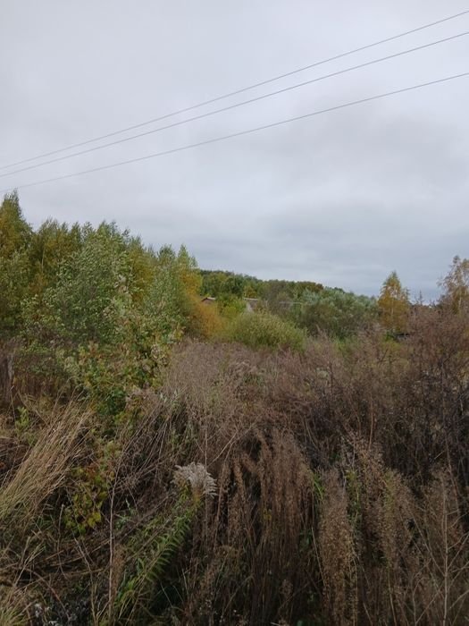 Продам земельну ділянку