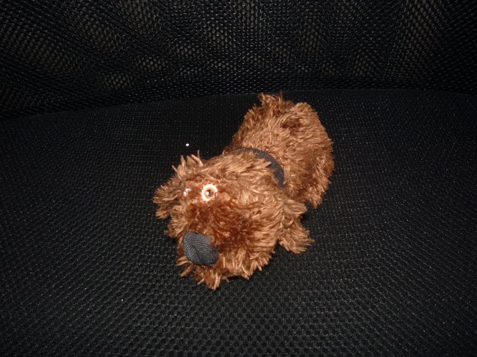 Pluszak piesek brązowy+GRATIS