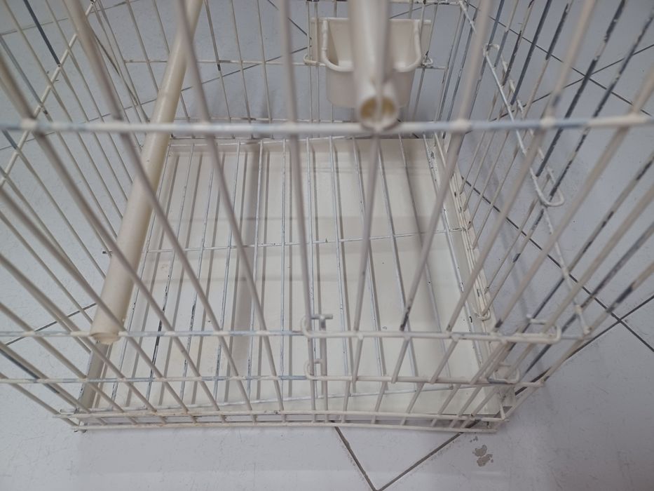 Gaiola grande (55cm x 37cm x 37cm)