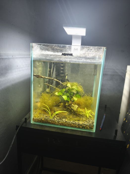 Akwarium Aquael 25x25x30 20l