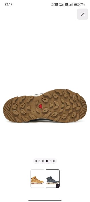 Salomon Трекінгові Черевики