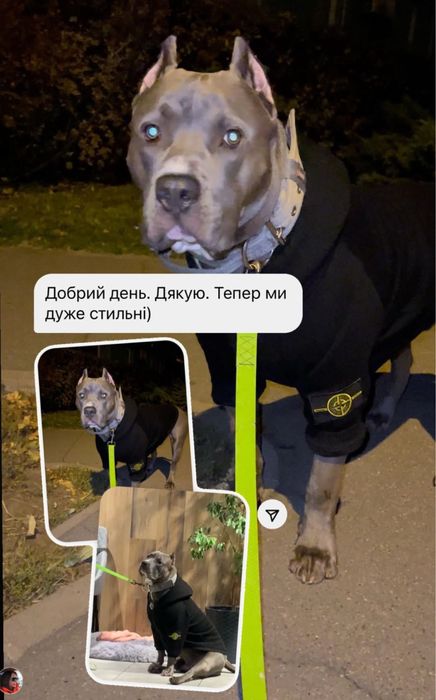 Одяг для ваших улюбленців