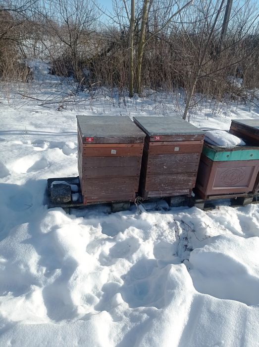 Вулик багато корпусний 10-ти рамковий