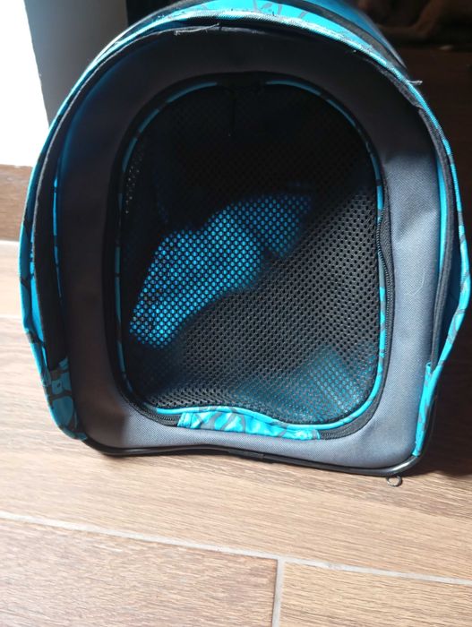 Transportadora de animais (pequeno-medio porte) Nova