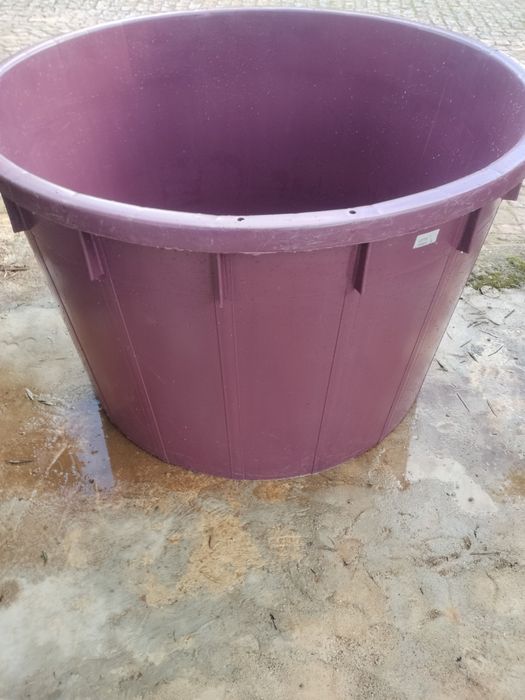Dorna para vinho