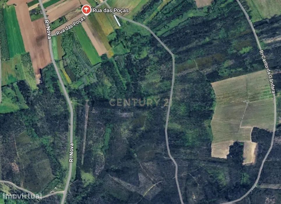 Agroforestry Plot of 21,062 m² | Pedreira – Ouca | Vagos