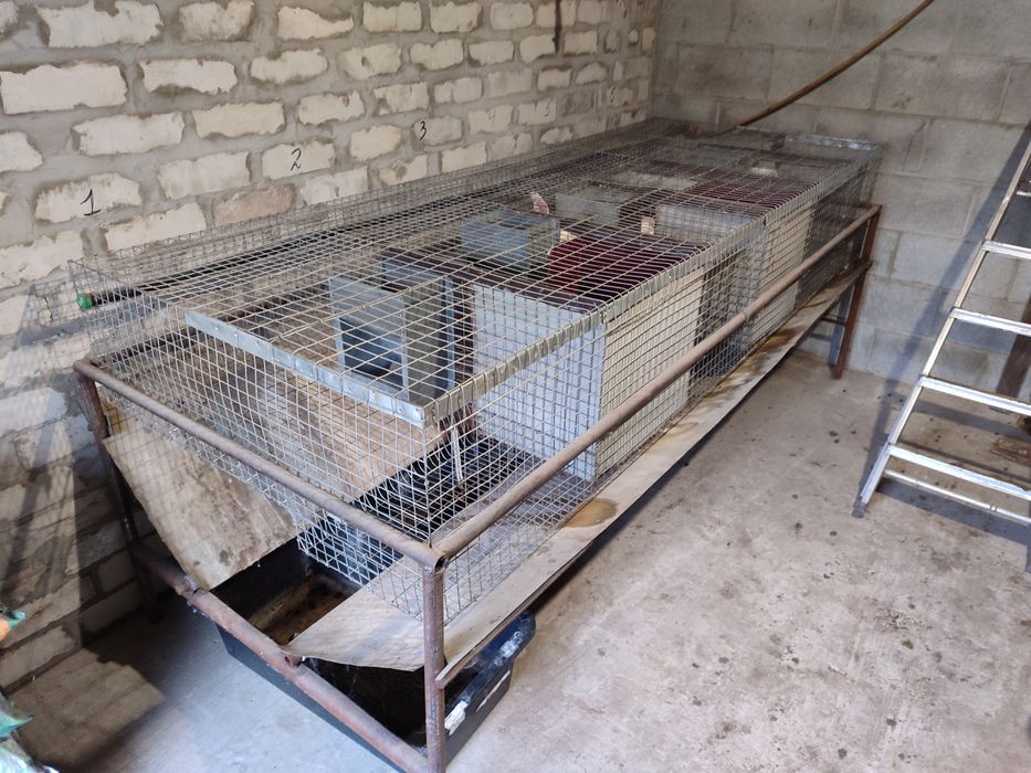 Клітка для кроликів