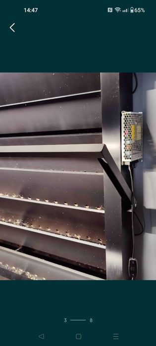 Фітостіна, вертикальне озеленення