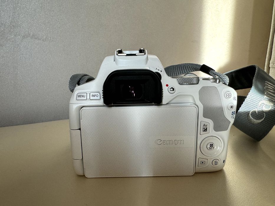 Камера Canon EOS 250D +EF-S 18-55mm f/4-5.6 IS STM +EF 50mm f/1.8 STM