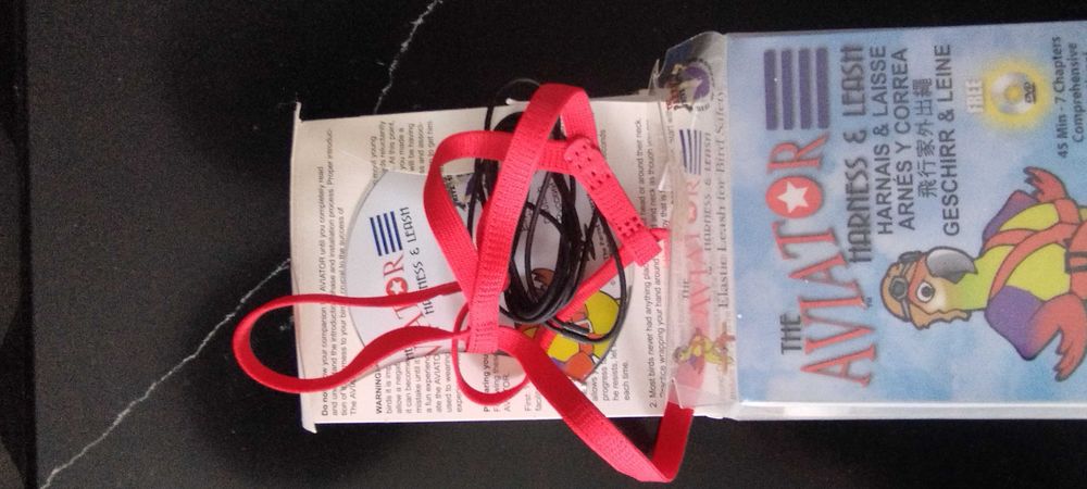 Arnês com correia para papagaio