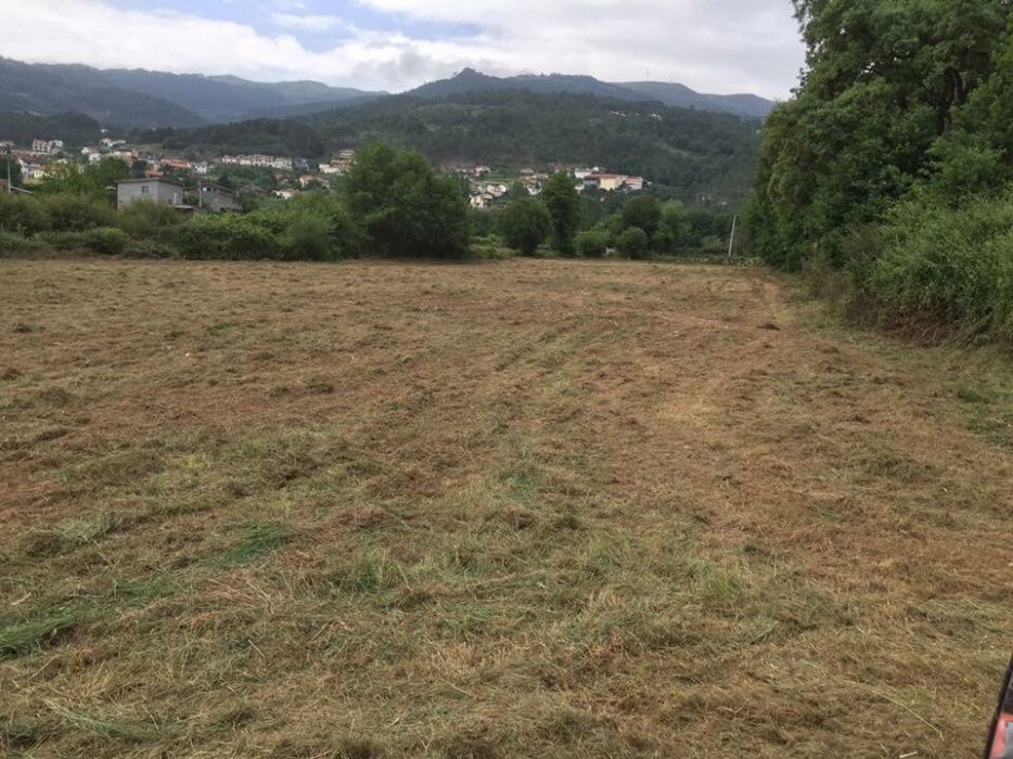 Limpeza e manutenção de terrenos