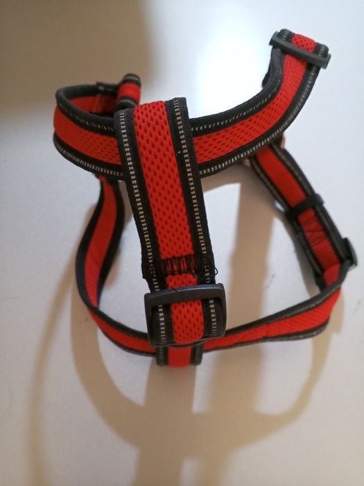 Шлейка для собак