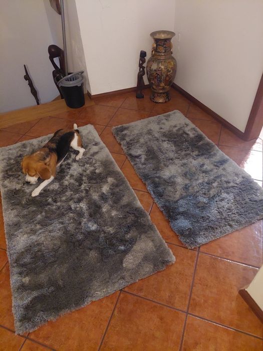 Venda de 2 tapetes cinzentos de pelo