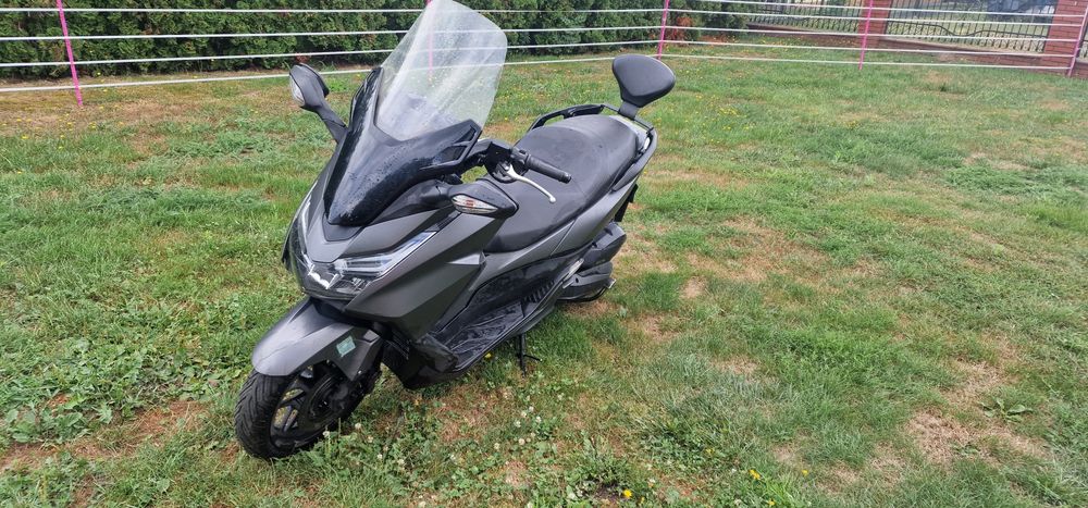 Honda Forza 125 Malossi, oparcie Shad, uchwyt na telefon(xmax pcx burgman)