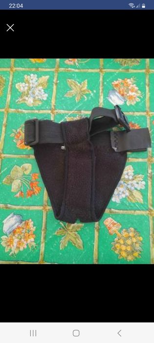 pensos higiénicos e cueca para cadela