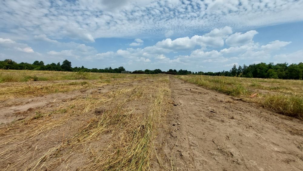 Sprzedam ziemię rolną