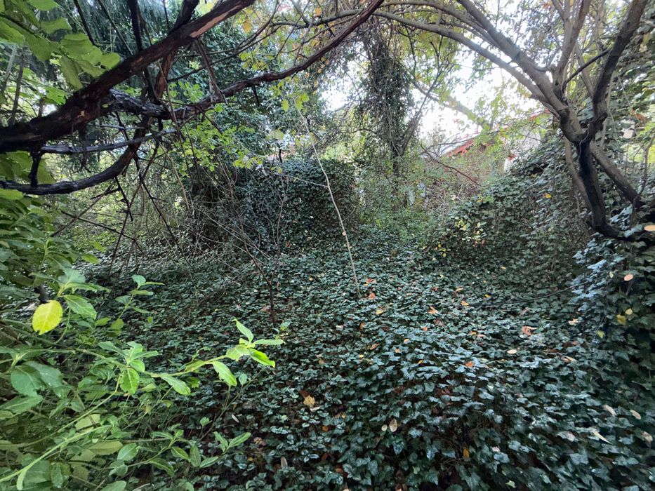 Działka ROD - Sękocin - podwójna - Słomin - Widok 5