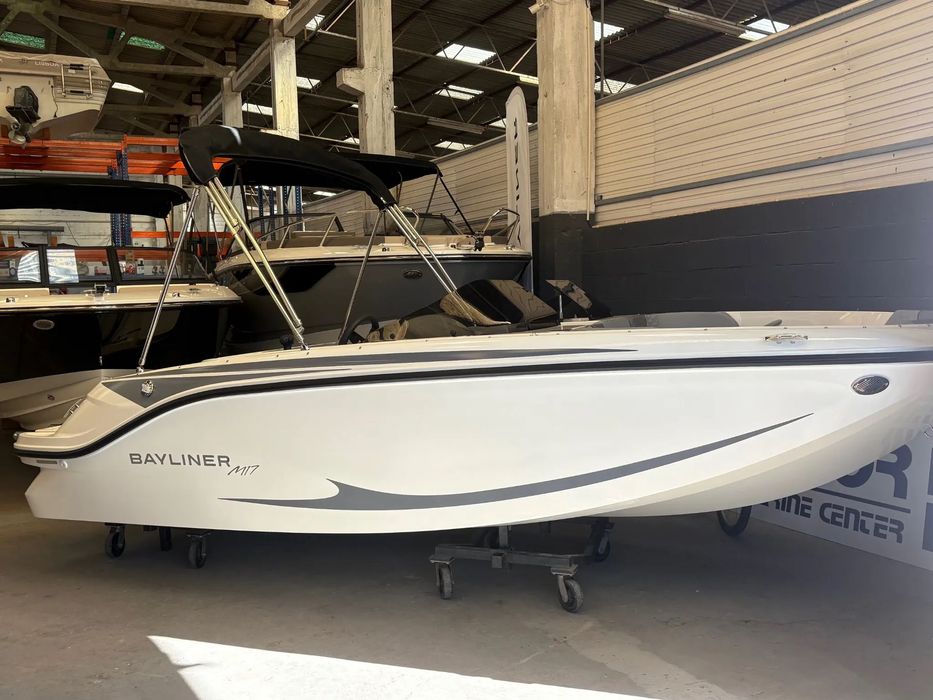 Bayliner Element M17