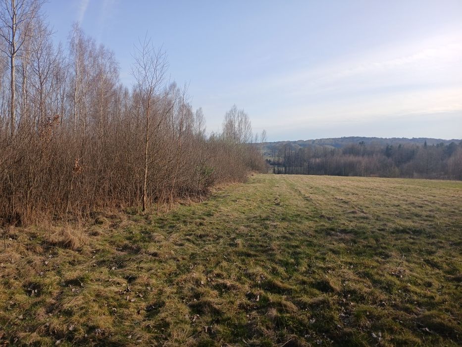 Piękna działka siedliskowa z możliwością zabudowy - Widok 4