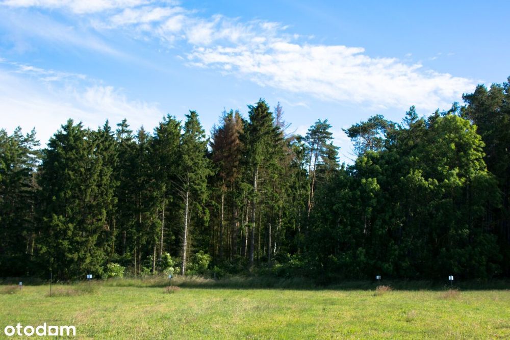 6 minut od plaży spacerem przez las - budowlana z pnb i mediami - More