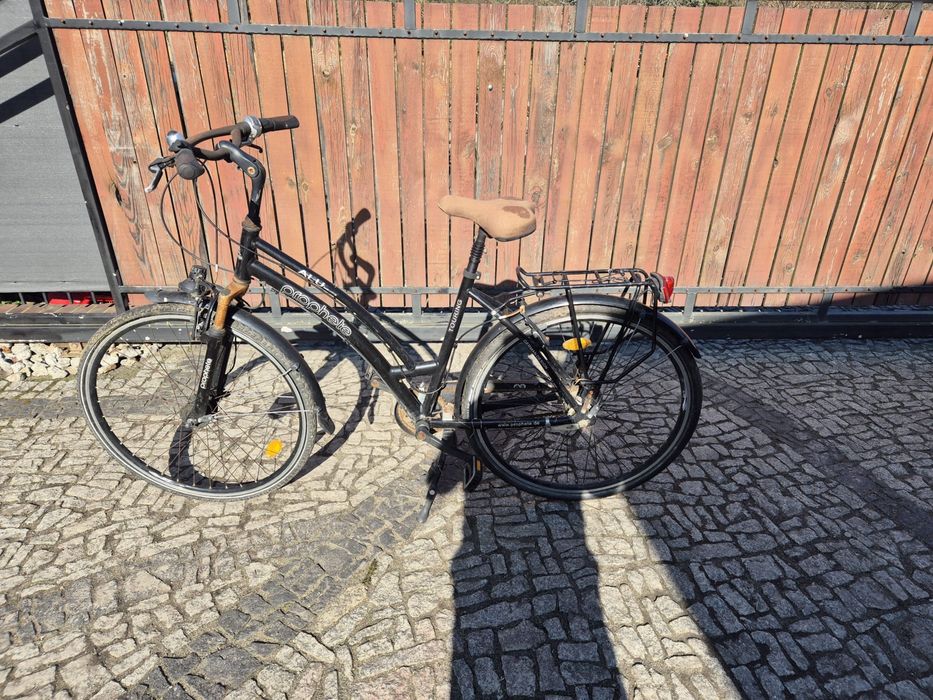 Rower Damka prophete 28