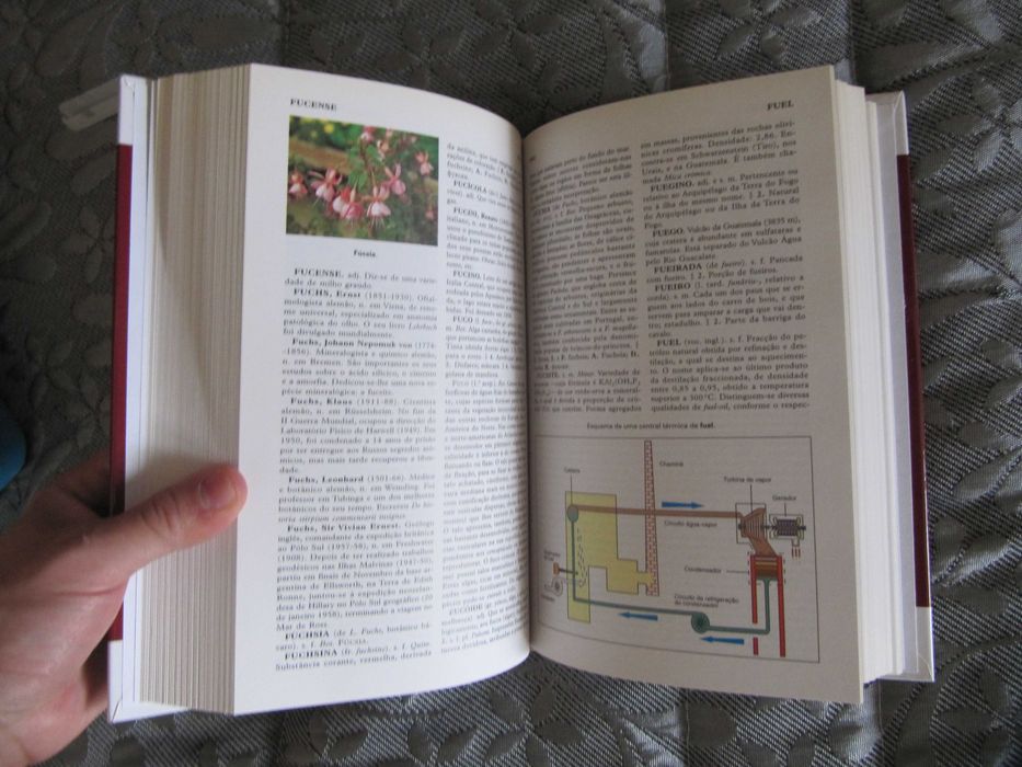 Grande Enciplipédia Universal 20 Vols. Dicionários Biografia NOVO