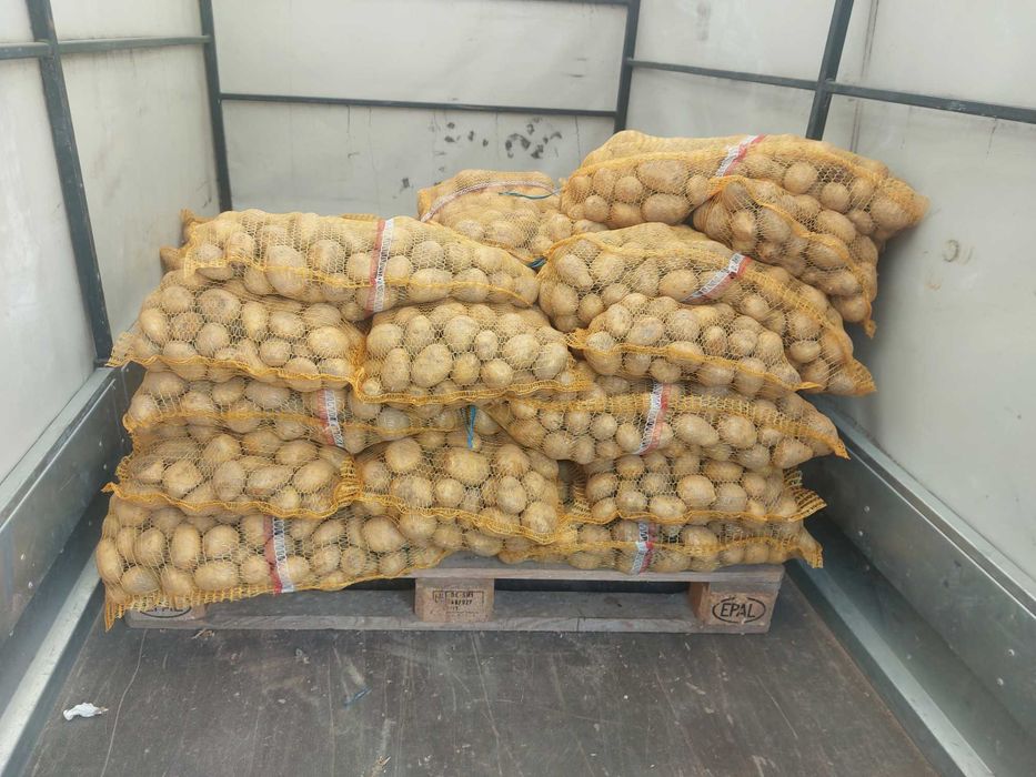 Sprzedam ziemniaki soraya i queen anne