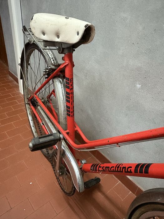 Bicilceta Pasteleira mulher