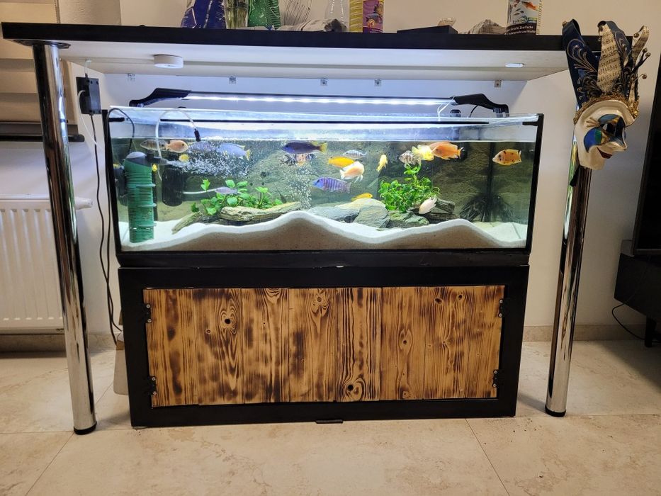 Akwarium 240l + filtr fluval fx4