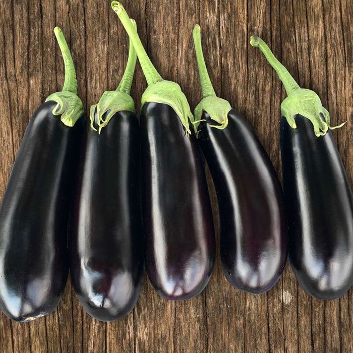 Насіння баклажану КАЗИМІР F1 KAZIMIR (HMC 1404) F1 Семена Баклажана