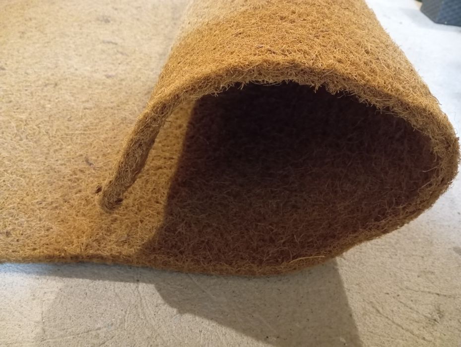 Mata kokosowa nowa