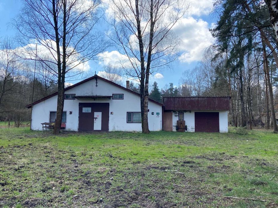 Hala/ Magazyn/ Ferma drobiu 1400 m² działka 2,2 ha. Gospodarstwo rolne - View 3