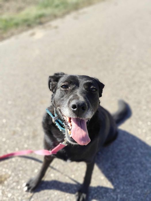 Tylko mnie kochaj - Twoja Ema