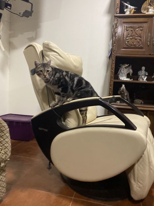 Cadeira de massagens com comando