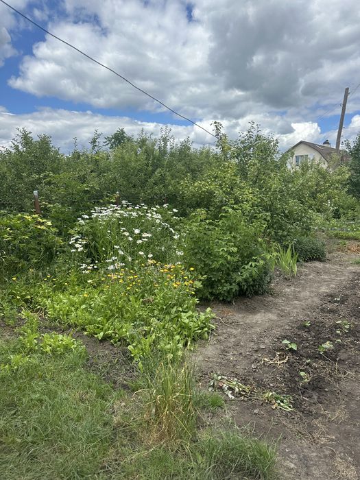 Продам будинок в Малій Вільшанці