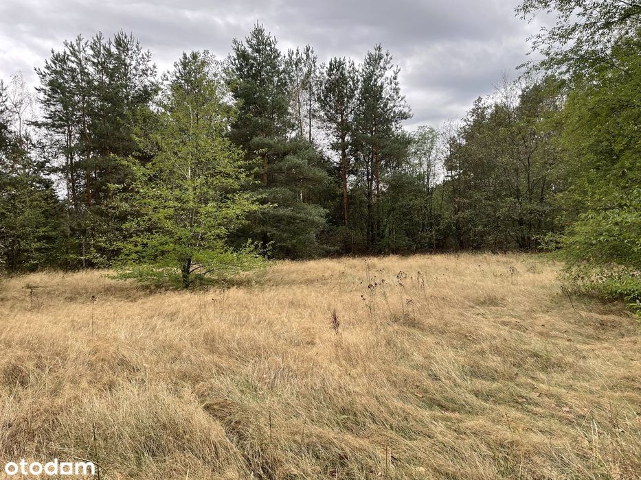 Działki o pow. 4583 m2 pod budowę 6 budynków 2-lokalowych | Józefów