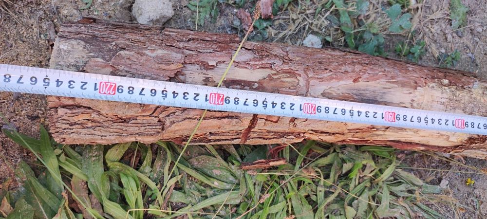 Stemple budowlane drewniane